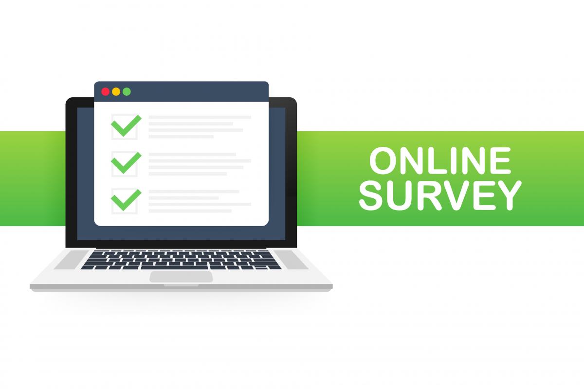 Image of a survey on a laptop